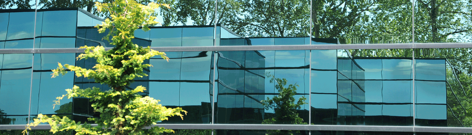 CSRD : lancement des consultations publiques sur les normes de durabilité pour les PME