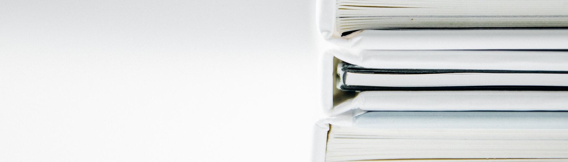 Présentation du rapport Bozio-Wasmer à la CPME