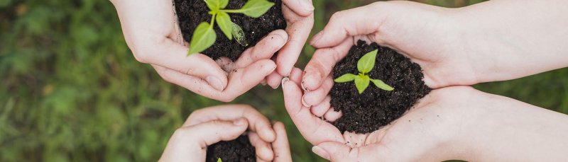 PME, tout savoir sur le mécénat