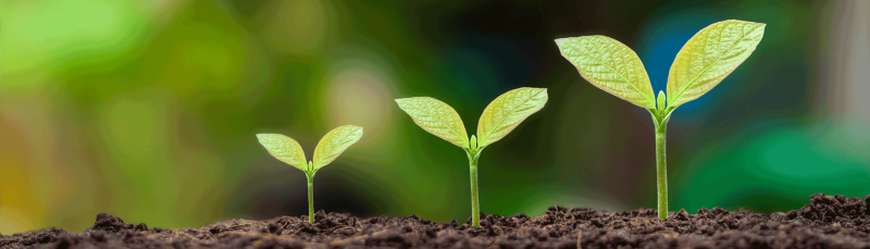 Appel à projet FASEP : valorisez vos solutions innovantes pour faire face aux défis climatiques