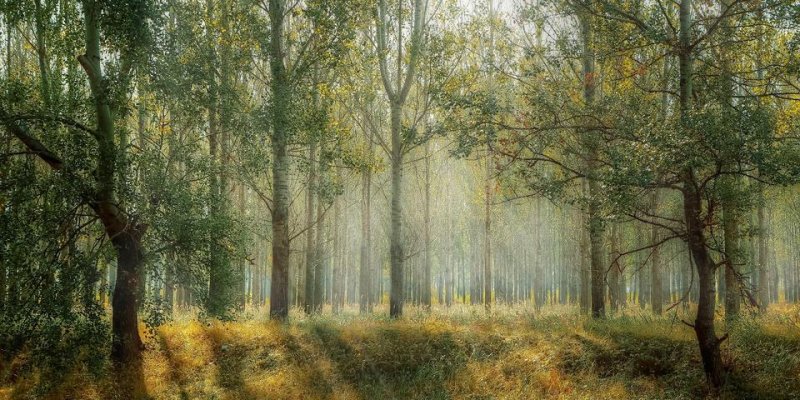 Covid-19 : information du ministère de l’Ecologie sur le paiement des éco-contributions