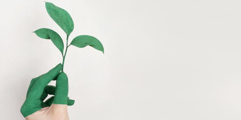 PME et urgence climatique : une prise de conscience mais des actions à renforcer