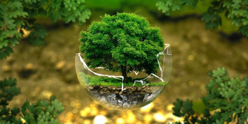 Semaine européenne du Développement durable : programme des émissions