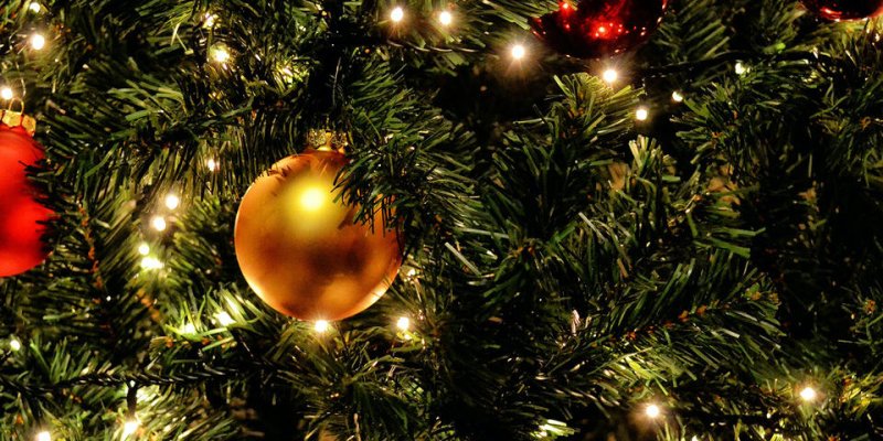 Les sapins de Noël en vente en extérieur, par retrait de commandes ou livraison