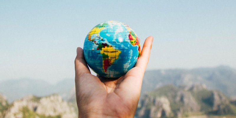 Les PME en action pour la biodiversité : notre guide pour les accompagner